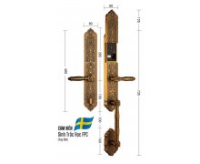 Khóa đại sảnh biệt thự vân tay Demax EL888 GB BRASS - App Wifi
