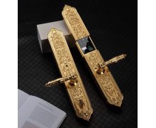 Khóa Thông Minh Đại Sảnh Tân Cổ Điển DS104-M