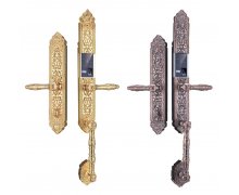 Khóa Thông Minh Đại Sảnh Tân Cổ Điển DS104