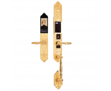 Khóa đại sảnh biệt thự vân tay Demax EL888 GB BRASS - App Wifi