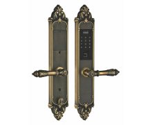 Khóa vân tay tân cổ đại sảnh Kassler KL-959GR (vàng đen)