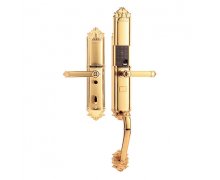 Khóa vân tay DEMAX EL821 GOLD - APP WIFI