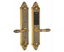 Khóa vân tay tân cổ đại sảnh Kassler KL-959C (Vàng đồng)