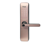 Khóa Vân Tay FP6590