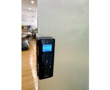 KHÓA CỬA KÍNH FACE ID DEMAX SL900 G - SD