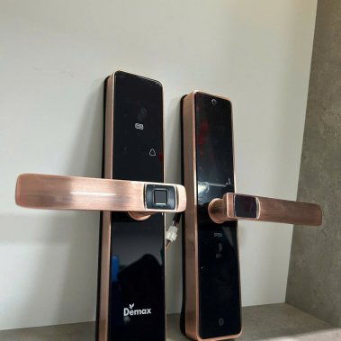 Khoá cửa gỗ thông minh Demax SL-C320 AC / SL - C320 CG App wifi của Đức