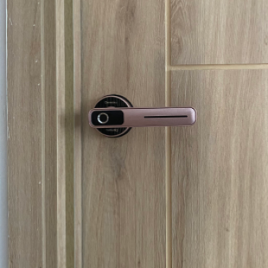 Khóa vân tay DEMAX SL105