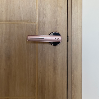 Khóa vân tay DEMAX SL105