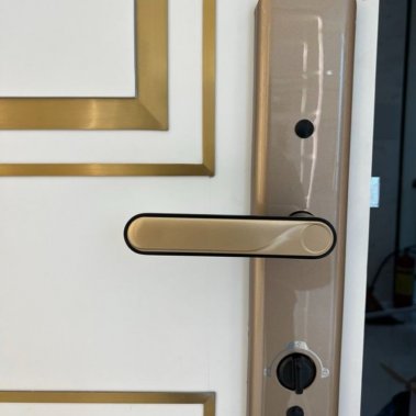 Khoá vân tay Laffer LC08 cho cửa gỗ