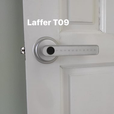 Khoá vân tay cửa phòng Laffer T09