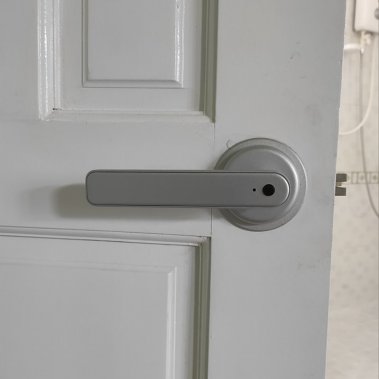 Khoá vân tay cửa phòng Laffer T09