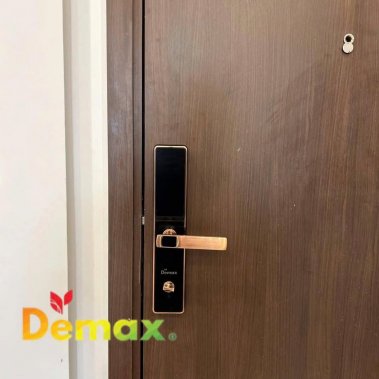 Khóa thông minh Demax EL-C622 AC