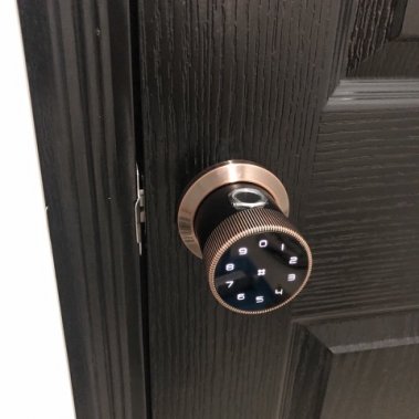 Khoá vân tay cửa phòng Laffer B12