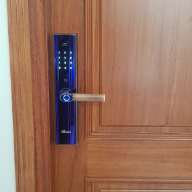 Khóa vân tay thông minh DEMAX SL650 AC