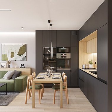 NỘI THẤT CĂN HỘ 43m² PHONG CÁCH HIỆN ĐẠI