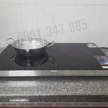 BẾP ĐIỆN TỪ EUROSUN EU-TE259Max