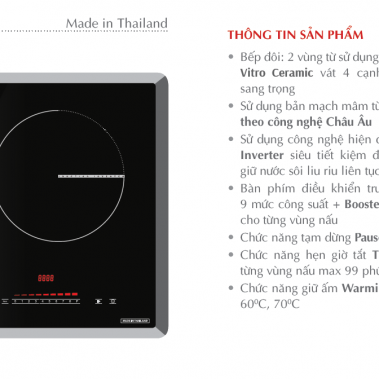 Bếp từ CANZY CZ TL869D