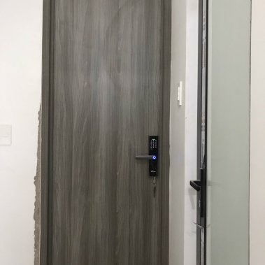 Khóa vân tay DEMAX SL266 GS