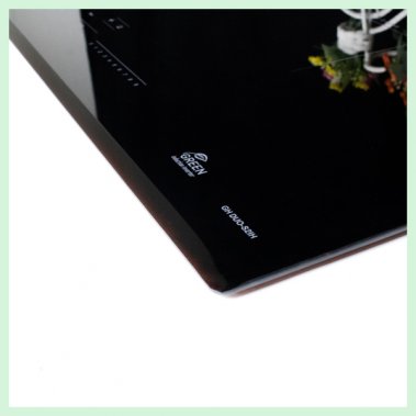 Bếp điện từ TOMATE GH DUO-S2IH 