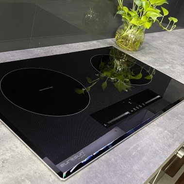 Bếp từ Eurosun EU-T710Pro Gold/Silver