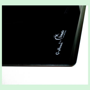 Bếp điện từ TOMATE GH 8G-02IH