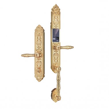 Khóa Thông Minh Đại Sảnh Tân Cổ Điển DS104