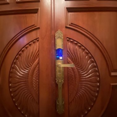 Khóa đại sảnh biệt thự vân tay Demax SL819 GB - App Wifi