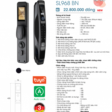 Khóa thông minh nhận diện khuôn mặt Face ID-3D Demax SL968 BN New