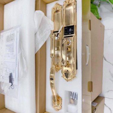 Khóa vân tay DEMAX EL821 GOLD - APP WIFI