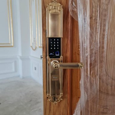 Khóa vân tay DEMAX EL821 GOLD - APP WIFI