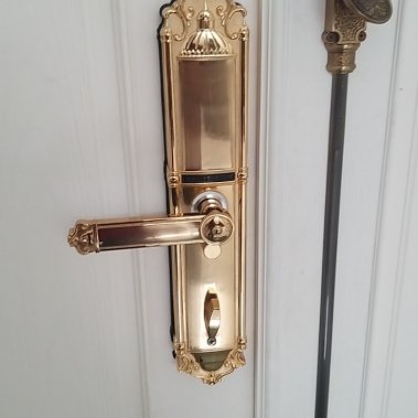 Khóa vân tay DEMAX EL822 GOLD - APP WIFI