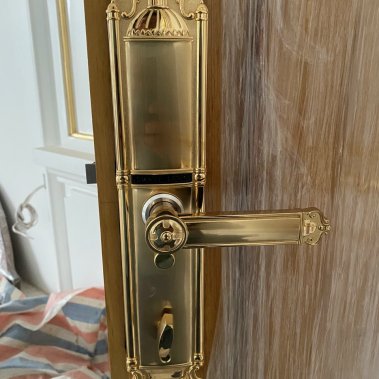 Khóa vân tay DEMAX EL822 GOLD - APP WIFI