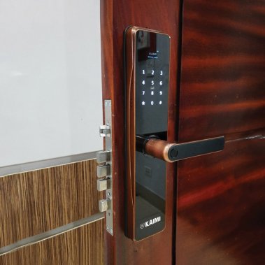 Khóa Vân Tay Kaimi BTM101 Màu Viền Đồng