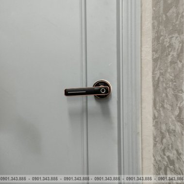 Khóa vân tay DEMAX SL106