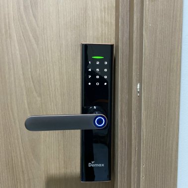 Khóa vân tay DEMAX SL266 GS