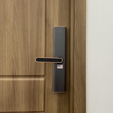 Khóa vân tay thông minh DEMAX SL630 AC