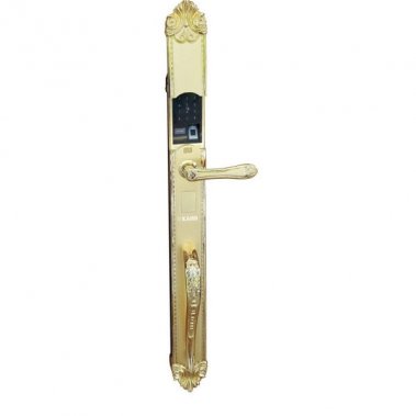 Khóa Thông Minh Đại Sảnh Tân Cổ Điển DS103 - Mạ Vàng