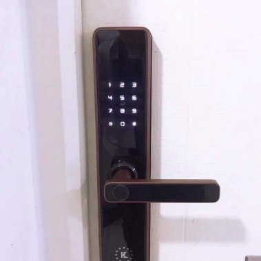 Khóa vân tay Kassler KL-669 Copper APP TUYA