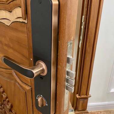 Khóa điện tử Kassler KL-696 App Red Bronze (Màu Đồng)