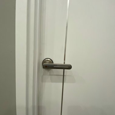 Khóa vân tay cửa phòng DEMAX SL108 SV