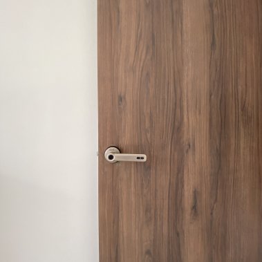 Khóa vân tay cửa phòng DEMAX SL109 SV