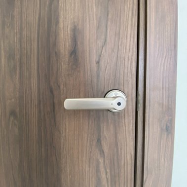 Khóa vân tay cửa phòng DEMAX SL109 SV