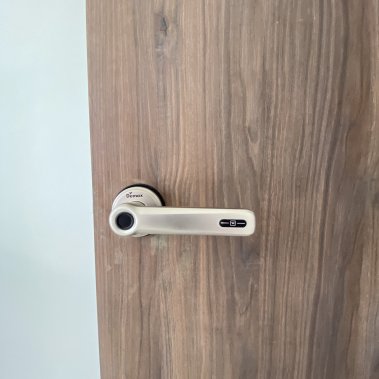 Khóa vân tay cửa phòng DEMAX SL109 SV