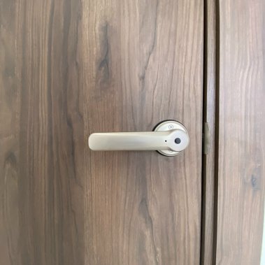 Khóa vân tay cửa phòng DEMAX SL109 SV