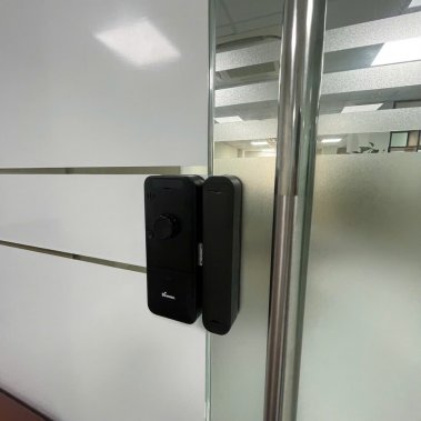 Khóa vân tay cửa kính Demax EL800G AC / EL800G BL App Wifi 