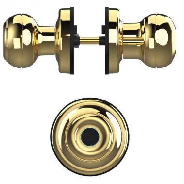 Khóa vân tay cửa phòng DEMAX SL106 YL