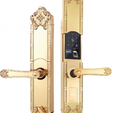Khóa đại sảnh biệt thự vân tay Demax SL8192 Gold - App Wifi
