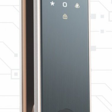 KHOÁ VÂN TAY THÔNG MINH SHARP S9-FV CÀ PHÊ (BROWN)