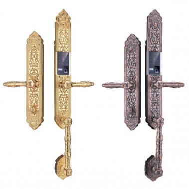 Khóa Thông Minh Đại Sảnh Tân Cổ Điển DS104