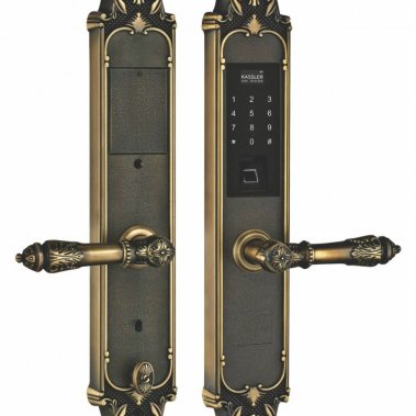 Khóa vân tay tân cổ đại sảnh Kassler KL-959GR (vàng đen)